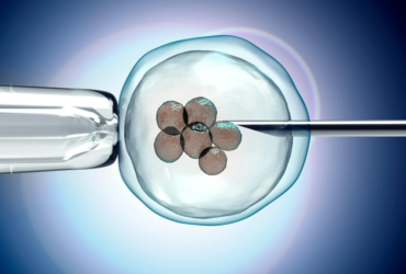 Social Egg Freezing for Unmarried Females