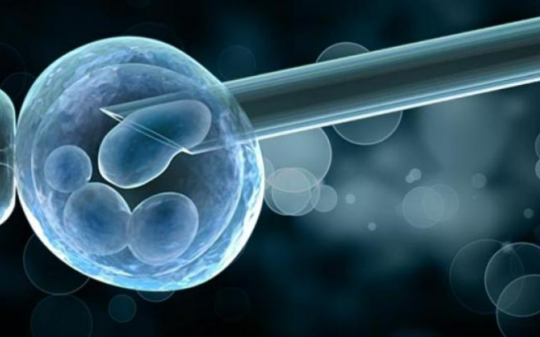 Social Egg Freezing for Unmarried Females2
