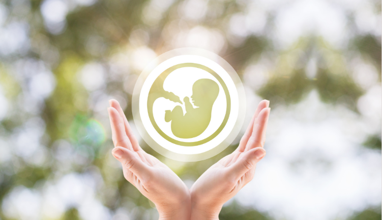 Donor Programs