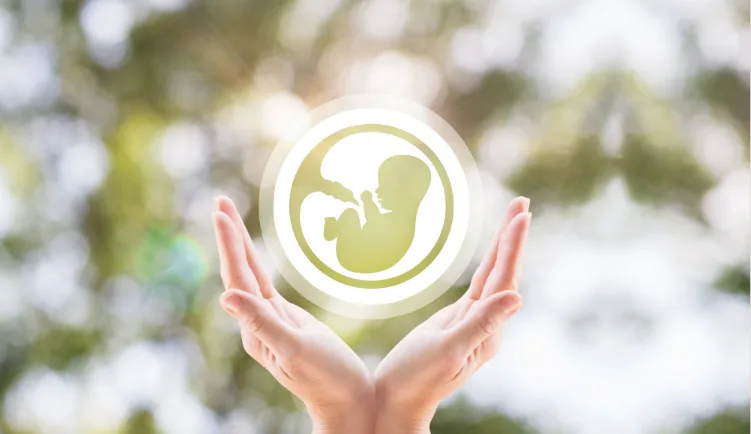 Donor Programs