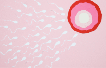 Treatment for Zero/Nil sperms