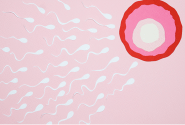 Treatment for Zero/Nil sperms